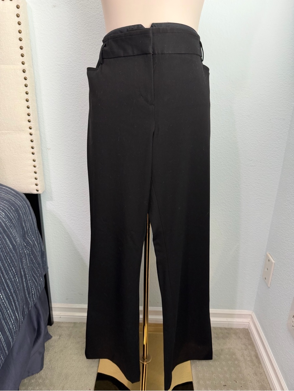 Express Pants